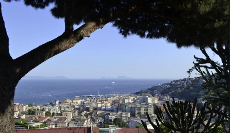 Belvedere 75 Napoli Bagian luar foto